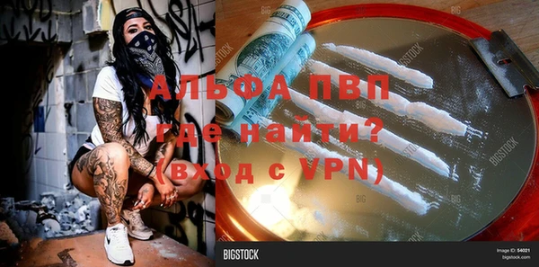 стафф Богданович
