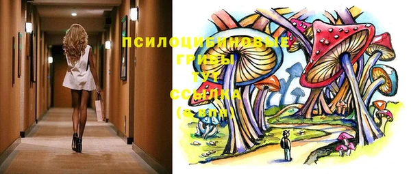 стафф Богданович