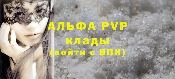стафф Богданович