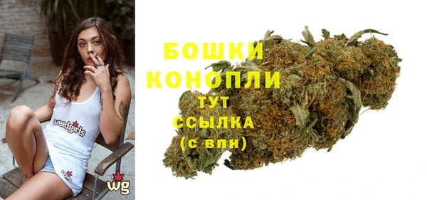 стафф Богданович
